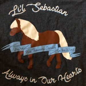 Little Sebastian parks and red shirt